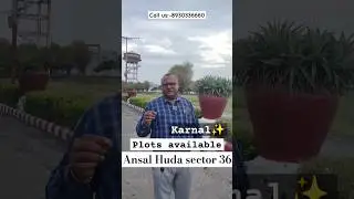 Ansal huda sector 36,karnal plots available of all types. #aashirvaadproperties #shorts #property