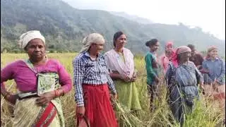 हाय गा भैया केरल जाबो गायक शिव मसराम गाईका रोशनी मसराम 7828839688