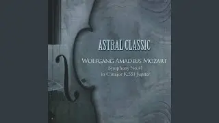 Mozrat: Serenade No.13 Eine Kleine Nachtmusik - Andante