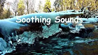 Soothing, Calming Frozen Forest Stream. Relaxing Nature Sounds. White noise for sleeping