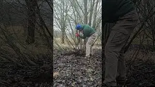 #4: Still Digging HOLES