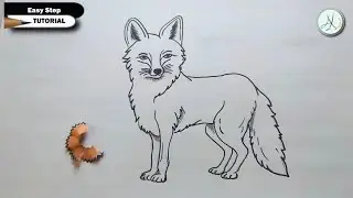 How to draw Jackal easy step by step tutorial. How to draw fox sketch II लोमड़ी का चित्र बनाना सीखे.