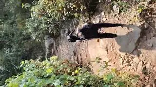 Mahaavtar Babaji's Cave trek Dunagiri kukuchina//Unexplored cave in Himalayas//Meditation//Dwarahat 