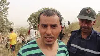 # الجزائر // شاهد حريق غابة تيارت اليوم
