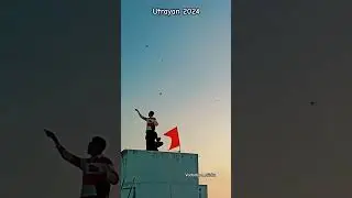uttarayan 2024 #uttrayan2024 #uttrayanspecial #kite #viral #ytshorts #trendingshorts #shortsfeed