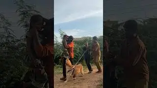 Wait For End..🔥 #viral #shorts #trendingshorts #ytshorts #youtubepartner