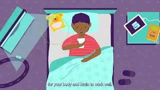 Health and wellness - elementary (English)