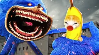 THE SONIC TAPES: Banana Cat Meets Shin Sonic Monster | SCARIEST Encounter! 🐱 Banana Cat Compilation