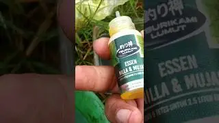 Самый эффективный и точный способ ловли рыбы Эссен #рыбалка #веселаярыбалка #рыболовныйдень