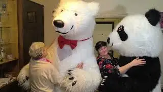 Surpriza cu Ursul Alb și Panda pentru mama Olimpiada.(+373)60618591,(+373)67192301 viber, whatsapp.