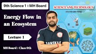 Energy Flow in an Ecosystem - Lecture 1 || Class 9 MH Board || Sanskar Plus