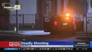 South LA shooting death investigation