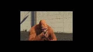 Mr BIGFOOT EATS A Peyote + Easiest Peyote plant Location in GTA Online