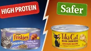 Wet Cat Food With &lsquo;High Protein&rsquo; Claims You Should AVOID (SENIORS, PAY ATTENTION)