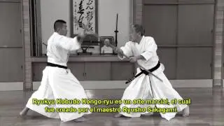 Ryukyu Kobudo Kongo-ryu (Espa&ntilde;ol)