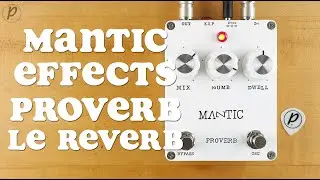 Mantic Effects Proverb LE Reverb