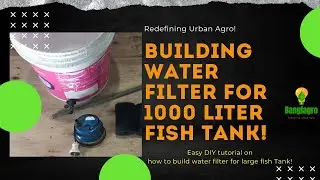 DIY 1000-Liter Fish Tank Water Filter | Simple System!