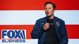 Elon Musk opened our eyes to the waste, fraud and abuse, GOP strategist says