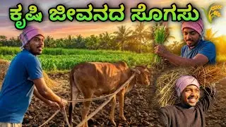 ರೈತನ ಬದುಕು! ಕೃಷಿ ಜೀವನದ ಅಸಲಿ ಸತ್ಯ | The Real Beauty of Village Farming 🌾 #ರೈತರು #farmers