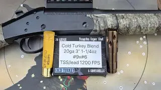 Salt Creek Cold Turkey Blend 20ga 3
