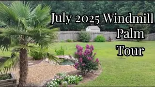 July 2025 Windmill Palm Tour