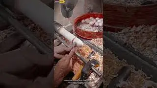 Wood Carving Craft | Worker Creating Detailed Wood Carving #carving #woodworking