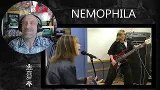 NEMOPHILA - THE BLUE HEARTS/情熱の薔薇 - Reaction with Rollen (First Listen)