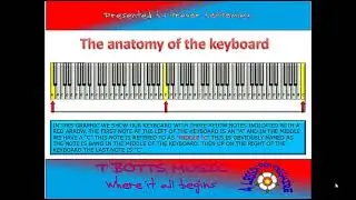 The Anatomy of the Keyboard