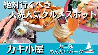 （vlog）茨城県大洗に、日帰りでカキ小屋や、めんたいパークに、カニ弥に行って、美味しい海の幸を食べまくる。他にもカフェや大洗の人気のグルメを散策した。