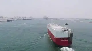 RVC Line - Car Carrier Service from India to PG