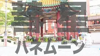 【芝健】彗星ハネムーン 踊ってみた【オリジナル振付】