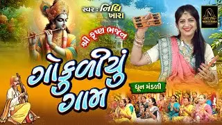 ગોકુળીયું ગામ - વિડિયો | ધૂન મંડળી | Nidhi Khara | Satsang Kirtan
