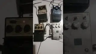 @opiepaypay4714 Tes Arion Digital Delay DDM-1