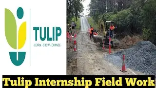 Tulip Internship | After Joining  | Field Work | Stipend _10000 | Municipal Corporation_Road Work