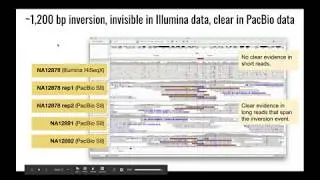 PacBio Sequel II System Early Access Experience at the Broad Institute
