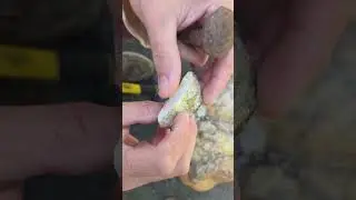 Cracking pieces off a huge quartz. #shadetreearmy #forgottenangels #nature @MysticalThemes