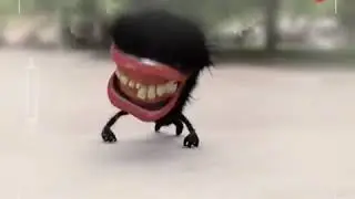Barry Bite (HD)
