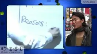 Séjours linguistiques à New-York