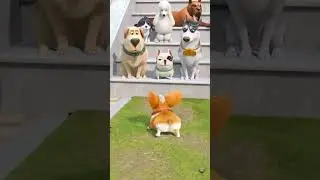 Animated dog comedy 😂