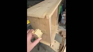 First Hive Build!