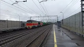 Ушка в новом окрасе 2ТЭ126, Новейшая ТЭМка и неплохие БТСы в мокрых летних Войсковицах
