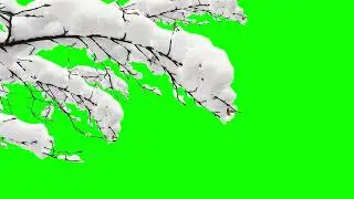 Green Screen Tree Effect Video Collection In Winter