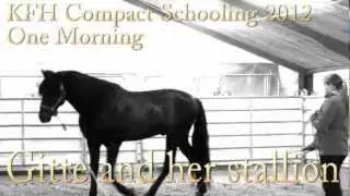 Gitte and her stallion