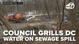 DC Council grills DC Water about Potomac sewage spill