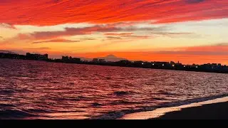 The TOKYO Hidden Gem for Families: Sea View Picnic You HAVE to See!