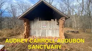 Hiking at Audrey Carroll Audubon Sanctuary 