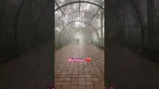 Matheran | Places to visit in India | Matheran Trip 🔥