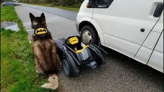 Batdog opens his gifts | Birthday Celebrations | Superdog