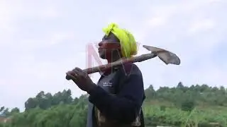 Artisanal mining: Is the new mining law discriminatory?