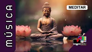 M&uacute;sica Relajante para Meditar: Sonidos que Inspiran Serenidad Interior 🕓Pantalla➜💻